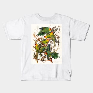 Carolina Parrot from Birds of America (1827) Kids T-Shirt